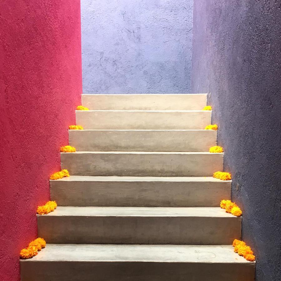 La Betulia Bed And Breakfast Oaxaca Екстериор снимка
