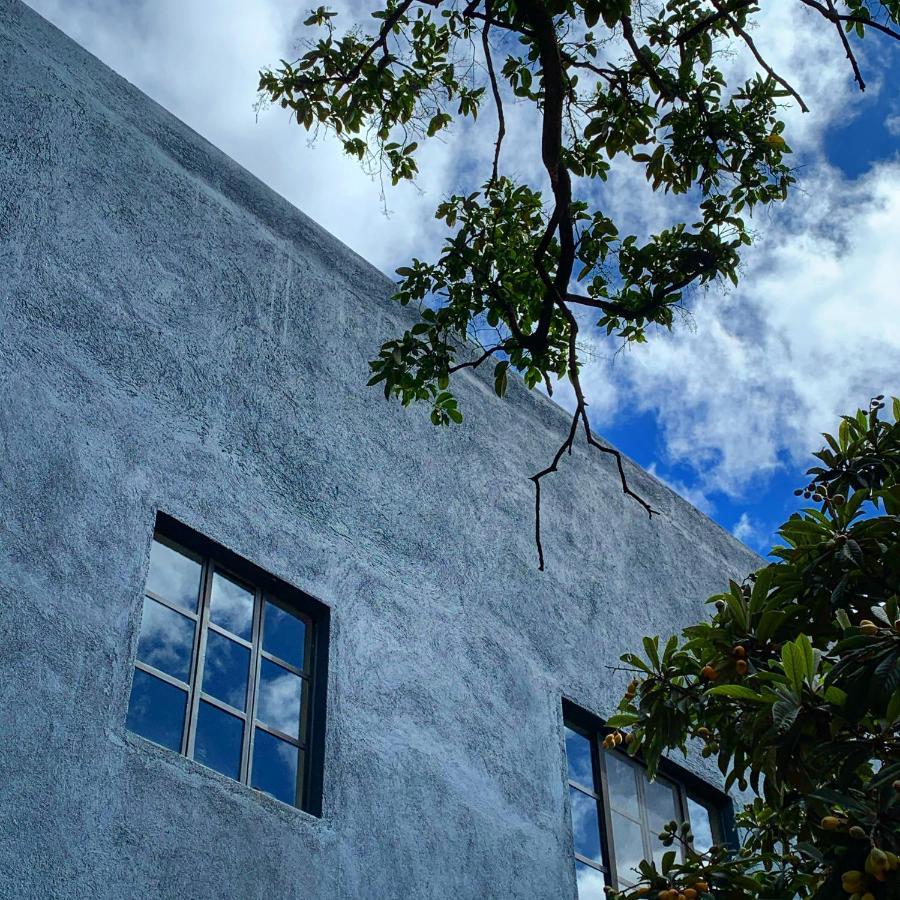 La Betulia Bed And Breakfast Oaxaca Екстериор снимка