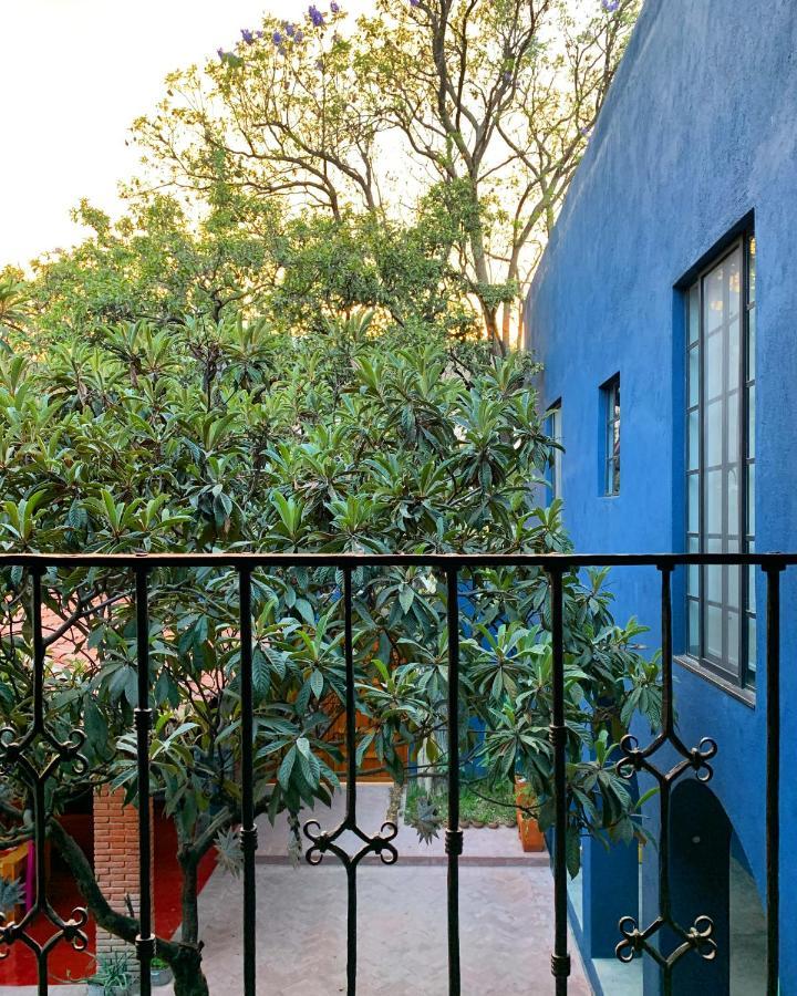 La Betulia Bed And Breakfast Oaxaca Екстериор снимка
