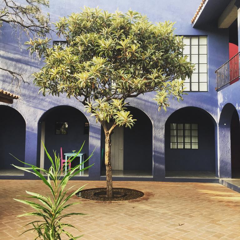 La Betulia Bed And Breakfast Oaxaca Екстериор снимка