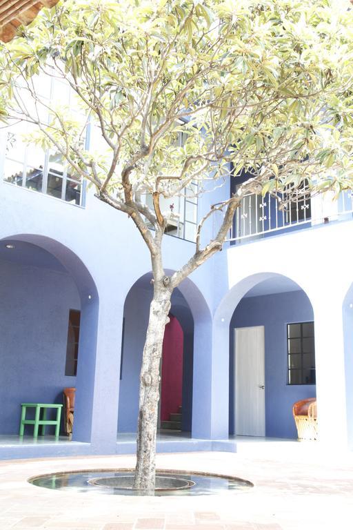 La Betulia Bed And Breakfast Oaxaca Стая снимка